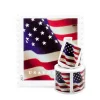 U.S Flag 2017 Forever Stamps Roll Of 100