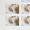 2011 "Wedding Roses" Forever Stamp 100pcs
