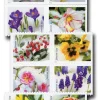2022 "Snowy Beauty" Forever Stamps 100pcs