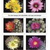 2019 "Cactus Flowers" Forever Stamps 100pcs