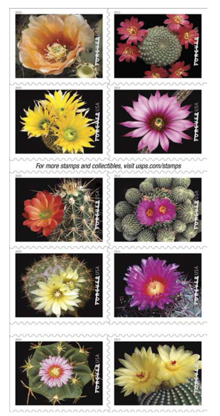 2019 "Cactus Flowers" Forever Stamps 100pcs