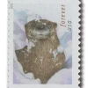 2021 “Otters in Snow” Forever Stamps 100pcs