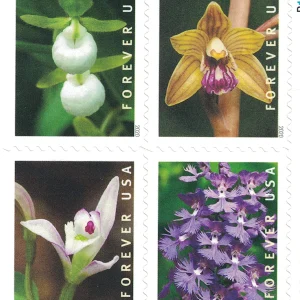 2020 Wild Orchids Forever Stamps 100pcs