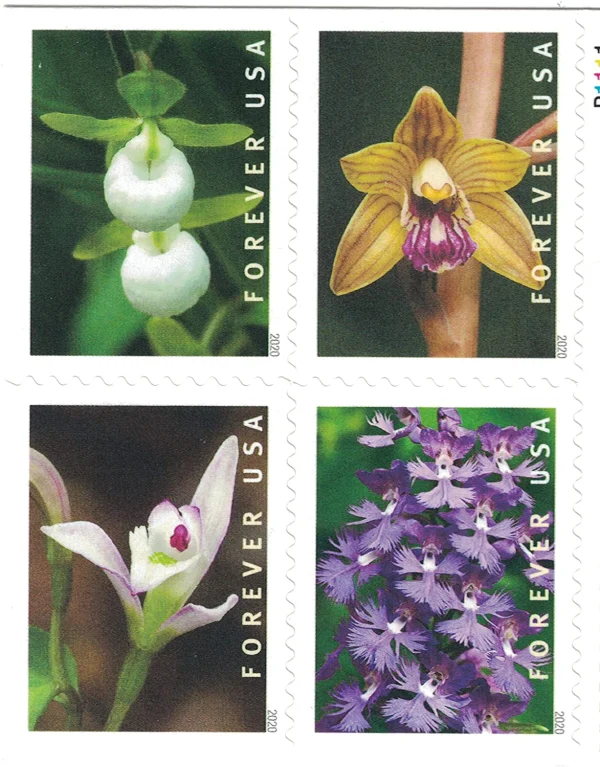 2020 Wild Orchids Forever Stamps 100pcs