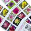 2021 "Garden Beauty" Forever Stamps 100pcs