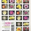 2019 "Cactus Flowers" Forever Stamps 100pcs