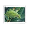 2019 "Frogs" Forever Stamps 100pcs