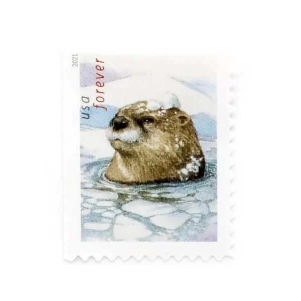 2021 “Otters in Snow” Forever Stamps 100pcs