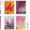 2023 "Tulip Blossoms" Forever Stamps 100pcs