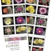 2019 "Cactus Flowers" Forever Stamps 100pcs