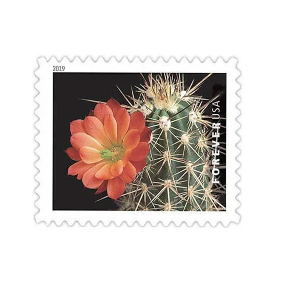 2019 "Cactus Flowers" Forever Stamps 100pcs
