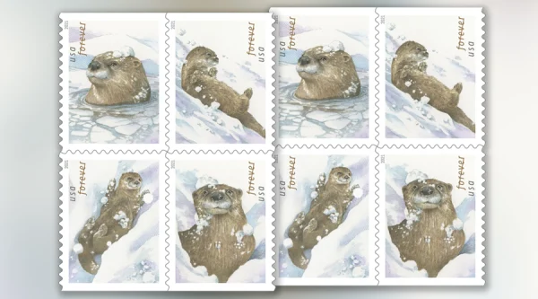 2021 “Otters in Snow” Forever Stamps 100pcs