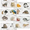 2016 "Pets" Forever Stamps 100pcs