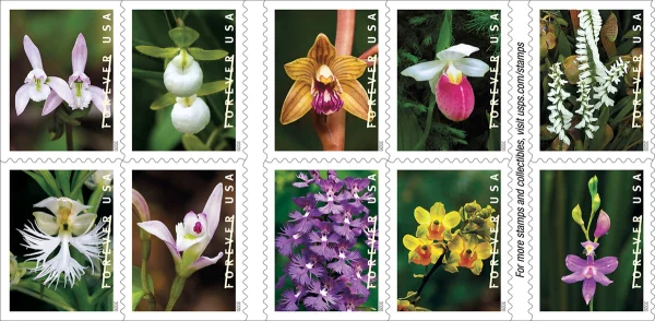 2020 Wild Orchids Forever Stamps 100pcs