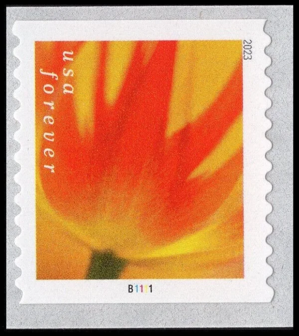 2023 "Tulip Blossoms" Forever Stamps 100pcs