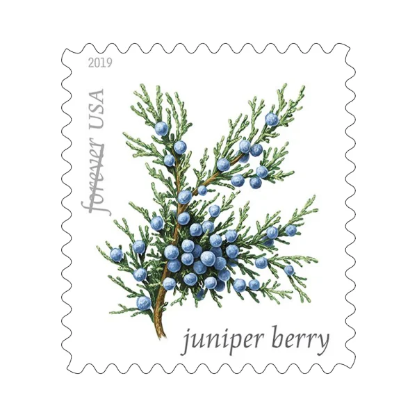 2019 "Winter Berries" Forever Stamps 100pcs