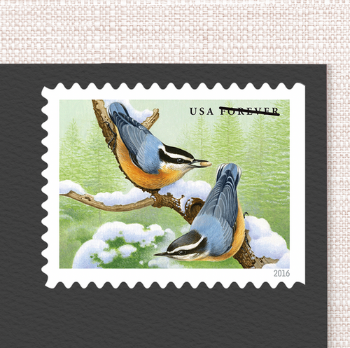 2016 "Songbirds in Snow" Forever Stamps 100pcs