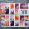 2023 "Tulip Blossoms" Forever Stamps 100pcs