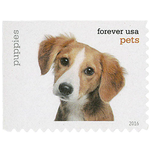 2016 "Pets" Forever Stamps 100pcs