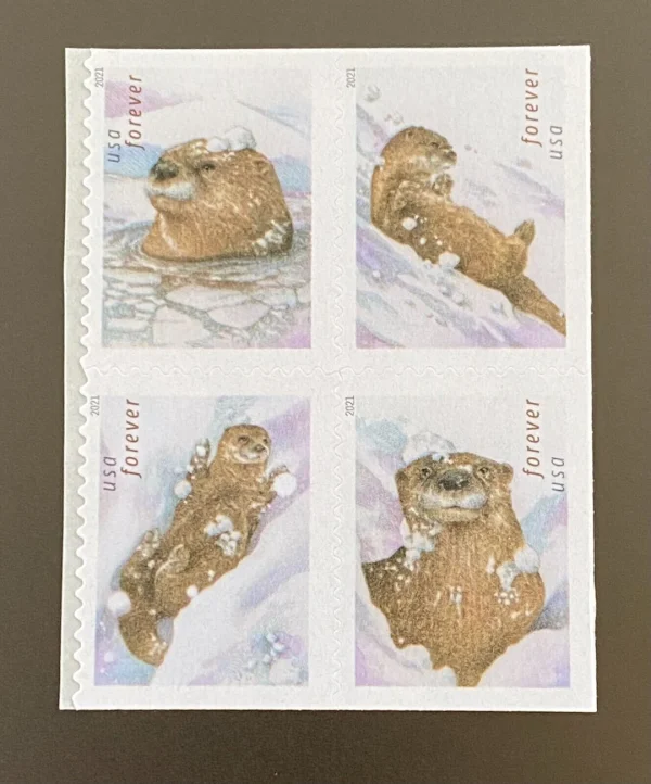 2021 “Otters in Snow” Forever Stamps 100pcs
