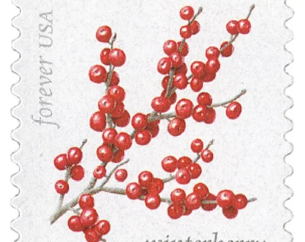 2019 "Winter Berries" Forever Stamps 100pcs