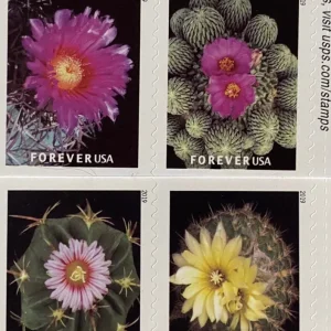 2019 "Cactus Flowers" Forever Stamps 100pcs