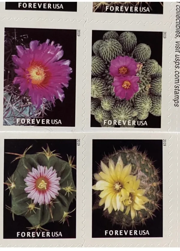 2019 "Cactus Flowers" Forever Stamps 100pcs