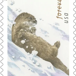 2021 “Otters in Snow” Forever Stamps 100pcs