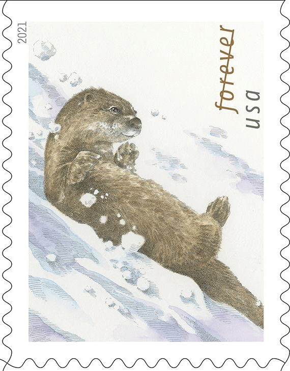 2021 “Otters in Snow” Forever Stamps 100pcs