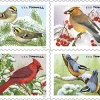 2016 "Songbirds in Snow" Forever Stamps 100pcs