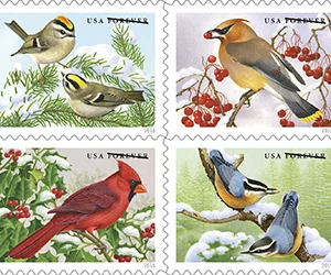 2016 "Songbirds in Snow" Forever Stamps 100pcs