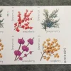 2019 "Winter Berries" Forever Stamps 100pcs