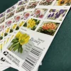 2022 "Snowy Beauty" Forever Stamps 100pcs