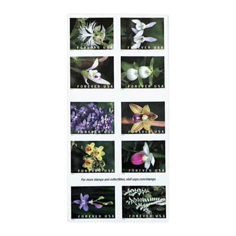 2020 Wild Orchids Forever Stamps 100pcs