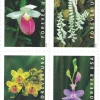 2020 Wild Orchids Forever Stamps 100pcs