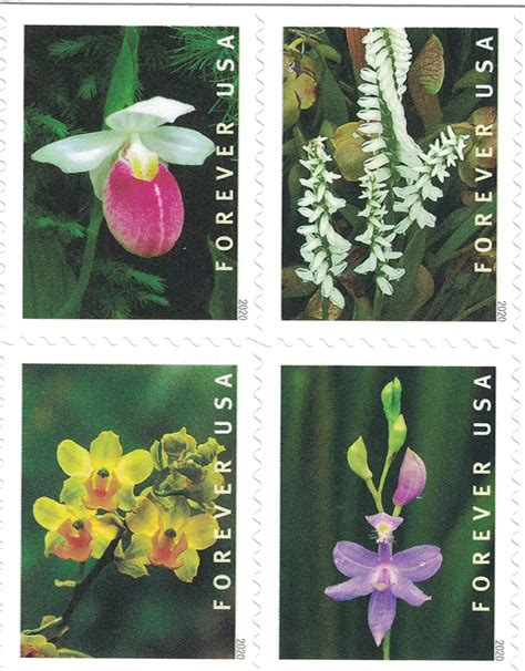 2020 Wild Orchids Forever Stamps 100pcs