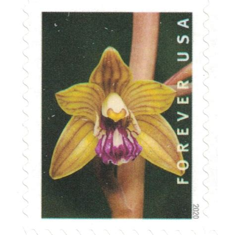 2020 Wild Orchids Forever Stamps 100pcs
