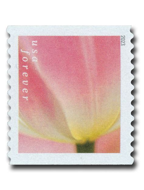 2023 "Tulip Blossoms" Forever Stamps 100pcs