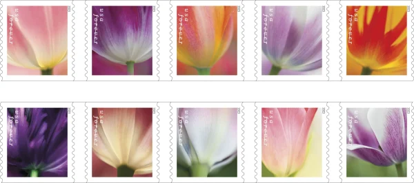 2023 "Tulip Blossoms" Forever Stamps 100pcs