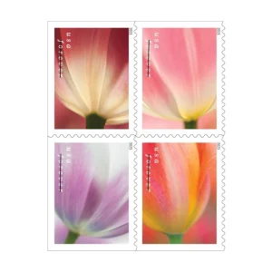 2023 "Tulip Blossoms" Forever Stamps 100pcs
