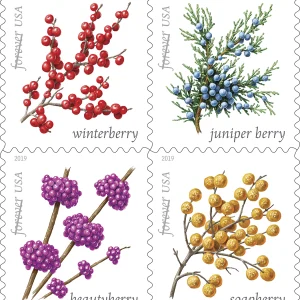2019 "Winter Berries" Forever Stamps 100pcs