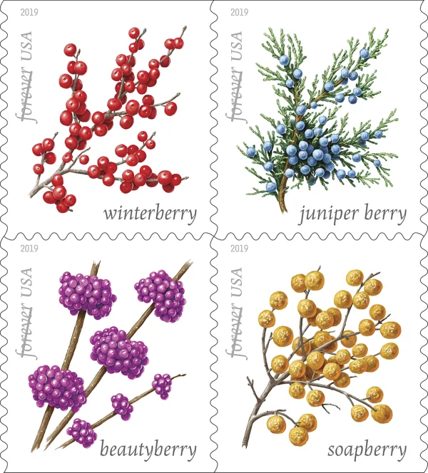 2019 "Winter Berries" Forever Stamps 100pcs