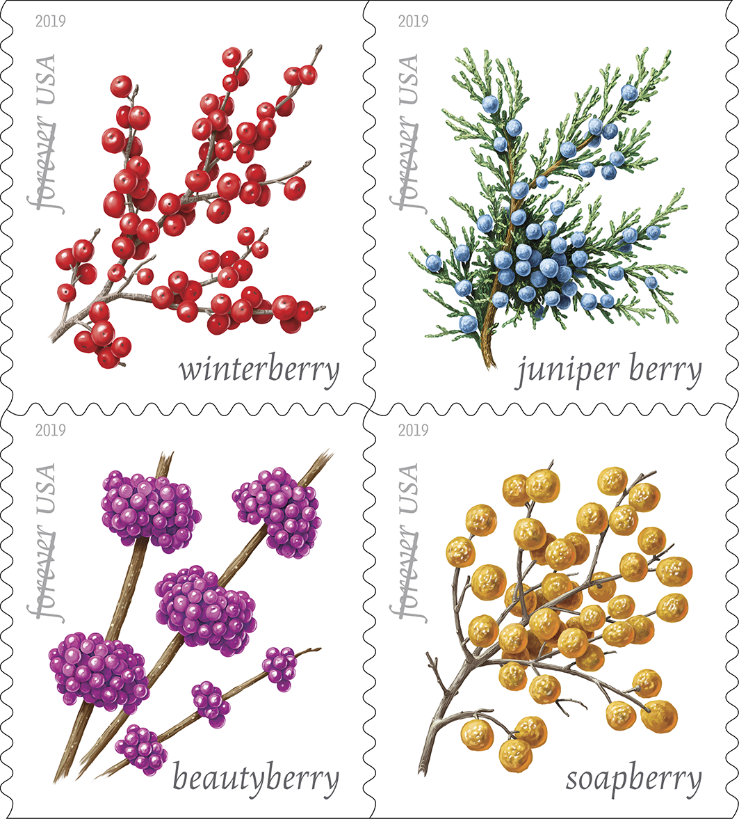 2019 "Winter Berries" Forever Stamps 100pcs